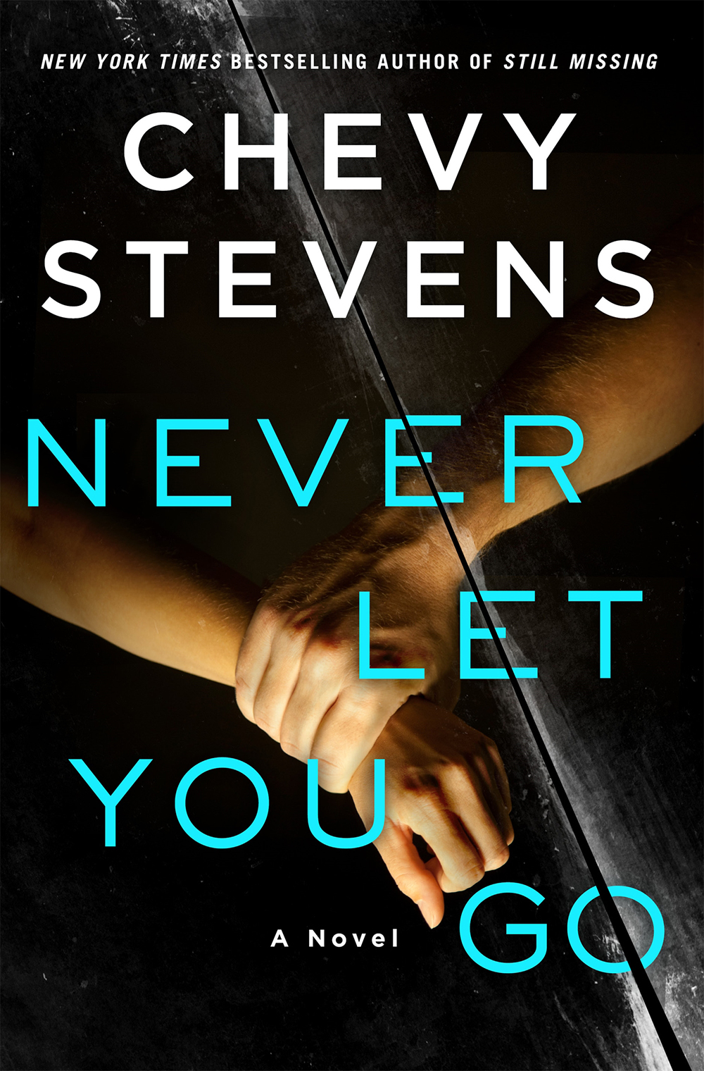 Never Let You Go by Chevy Stevens book review