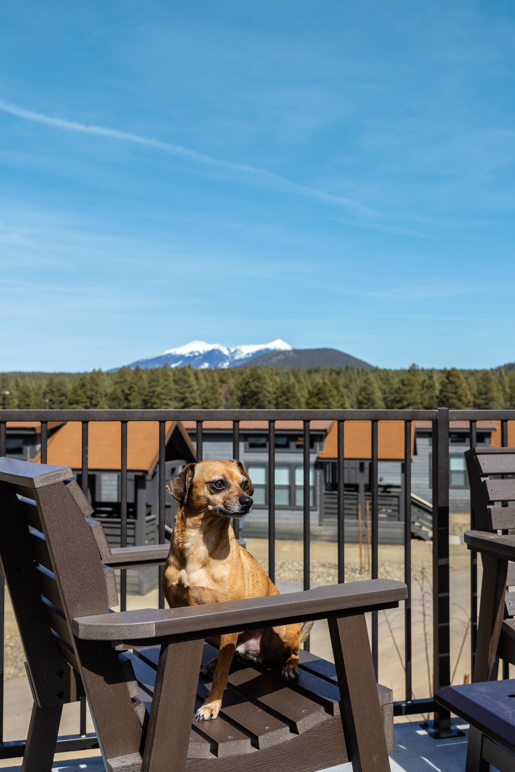 view of mt. humphreys from village camp flagstaff cabin deck